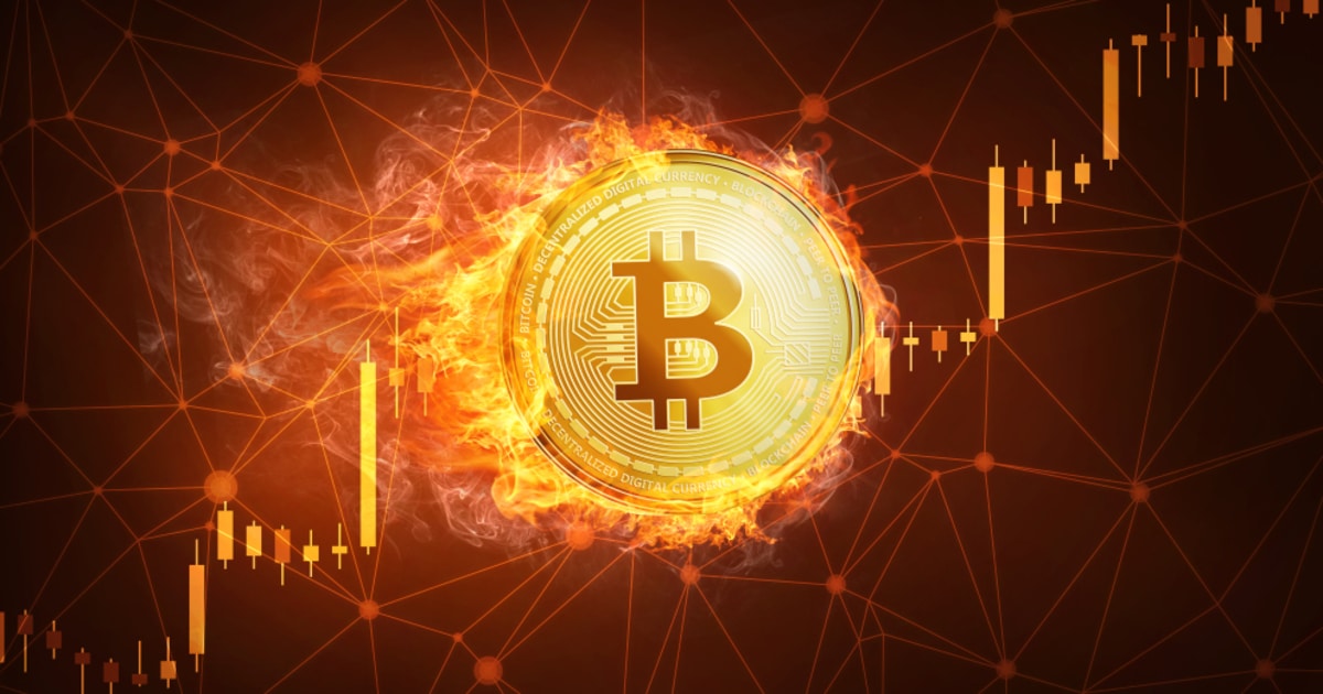 Exploring Future-Proof Investment Strategies with Stephanie Link