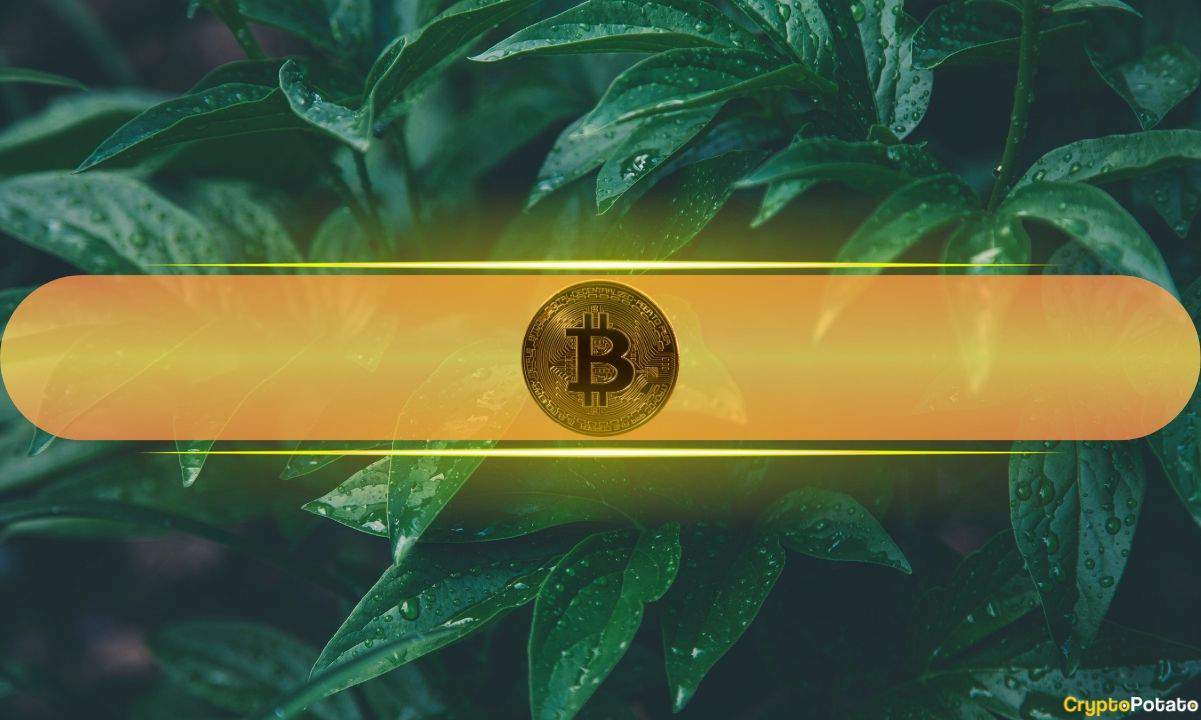 Bitcoin Breaks $106K as Volatility Spikes and Market Tests Liquidity